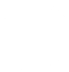 My Project